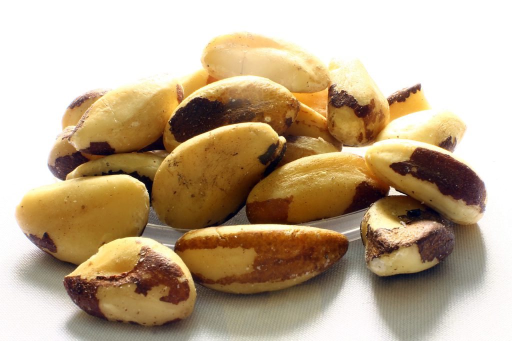 Healthest Nuts -  Brazil Nuts