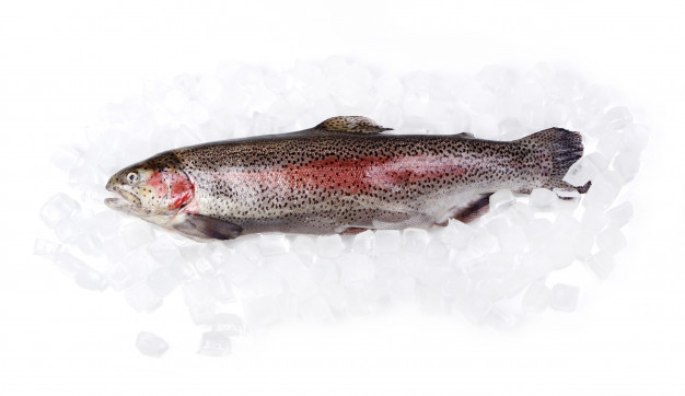 What is the Healthiest Seafood - rainbow trout