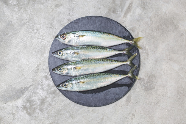 What is the Healthiest Seafood - Pacific mackerel