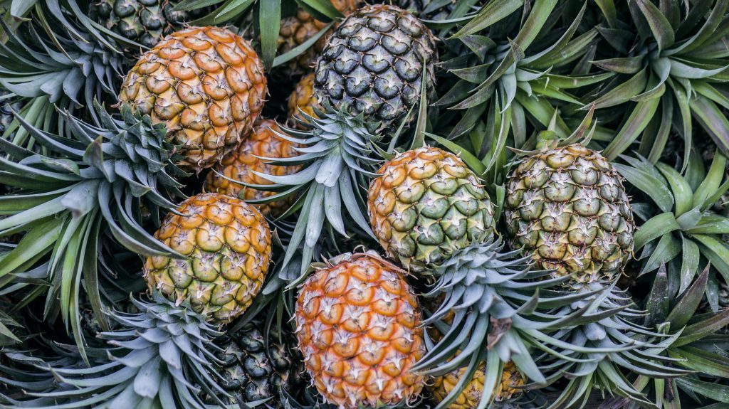Healthiest Fruits - Pineapple